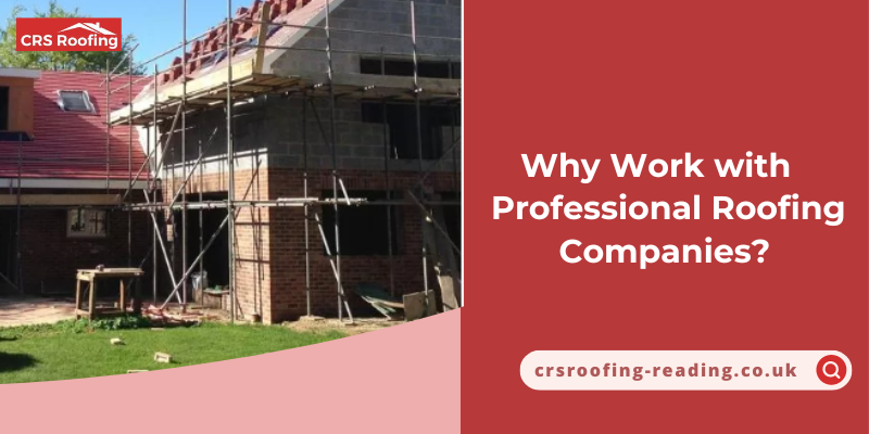 Why Work with Professional Roofing Companies